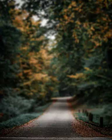 Blur CB Editing Background (with Nature and Landscape)