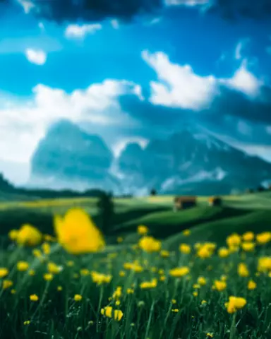 Blur CB Editing Background (with Summer and Spring)