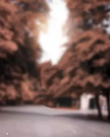 Blur CB Editing Background (with Light and Tree)