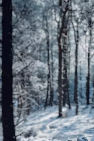 Blur CB Editing Background (with Winter and Snow)