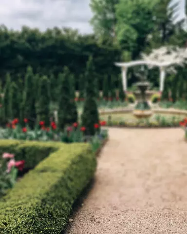 Picsart Editing Background (with Nature and Garden)