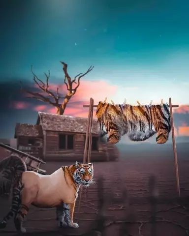 Picsart Editing Background (with Wild and Mammal)