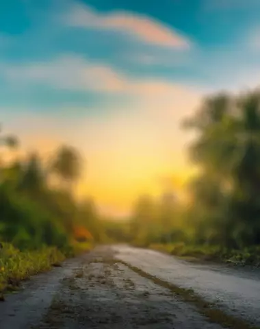 Blur CB Editing Background (with Tree and Nature)