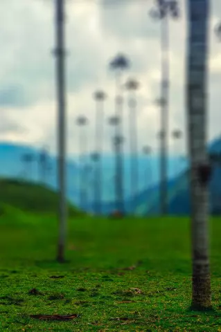 Blur CB Editing Background (with Sky and Landscape)
