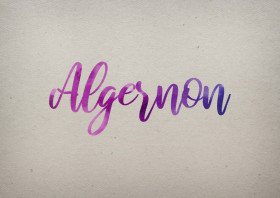 Algernon Watercolor Name DP