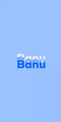 Name DP: Banu