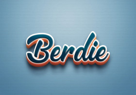 Cursive Name DP: Berdie