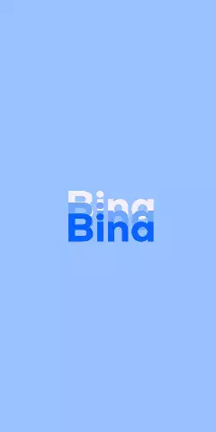 Name DP: Bina