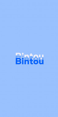 Name DP: Bintou