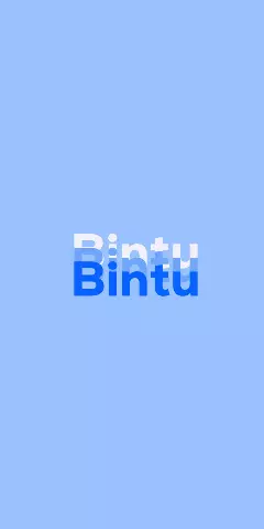 Name DP: Bintu