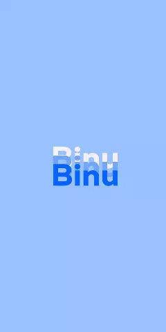 Name DP: Binu