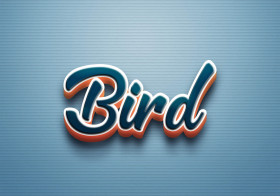 Cursive Name DP: Bird