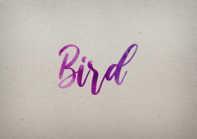 Bird Watercolor Name DP
