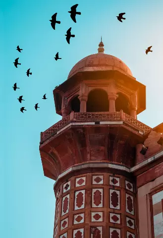 Birds flying over Tomb of Safdar Jang in New Delhi, India