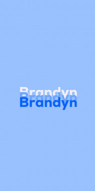 Name DP: Brandyn