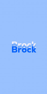 Name DP: Brock