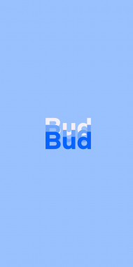 Name DP: Bud