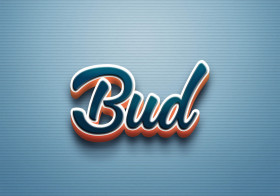 Cursive Name DP: Bud