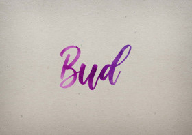 Bud Watercolor Name DP