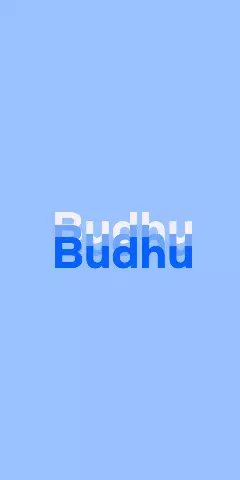 Name DP: Budhu