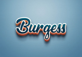 Cursive Name DP: Burgess