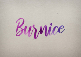 Burnice Watercolor Name DP