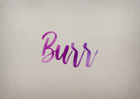 Burr Watercolor Name DP