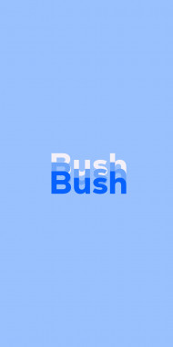 Name DP: Bush