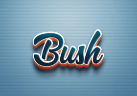 Cursive Name DP: Bush