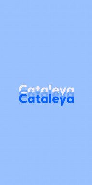 Name DP: Cataleya