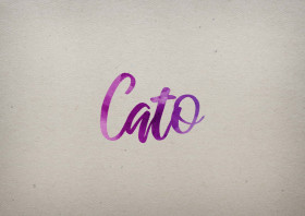 Cato Watercolor Name DP