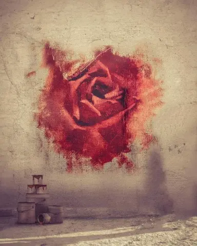 CB Editing Background (with Rose and Symbol)