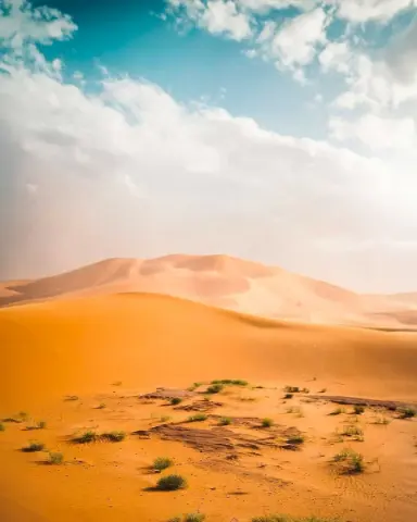 CB Editing Background (with Sand and Desert)