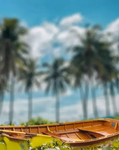 CB Editing Background (with Tropical and Travel)