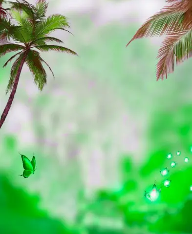 CB Editing Background (with Palm and Tropical)