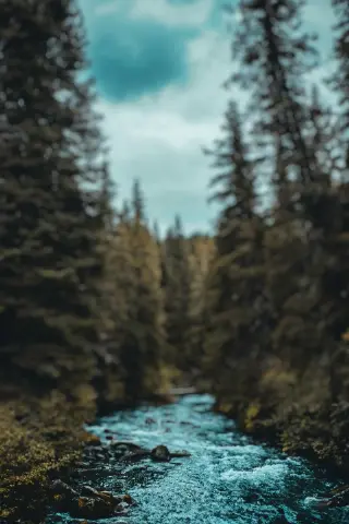 CB Editing Background (with Nature and Stream)