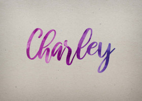 Charley Watercolor Name DP