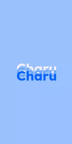 Name DP: Charu