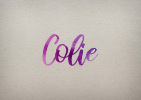 Colie Watercolor Name DP