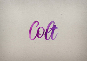 Colt Watercolor Name DP