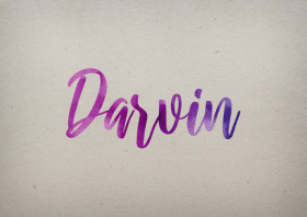 Darvin Watercolor Name DP