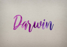 Darwin Watercolor Name DP