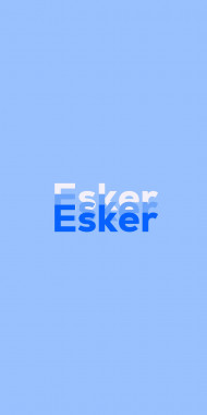 Name DP: Esker