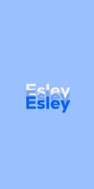 Name DP: Esley