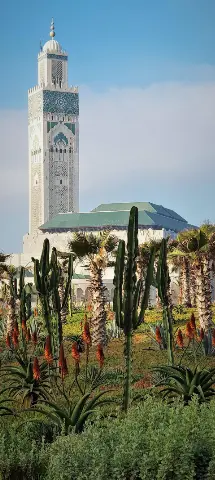 Hassan II Mosque Wallpaper #453