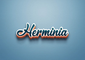 Cursive Name DP: Herminia