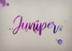 Juniper Watercolor Name DP