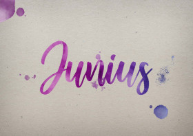 Junius Watercolor Name DP