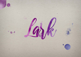 Lark Watercolor Name DP
