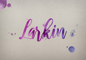 Larkin Watercolor Name DP
